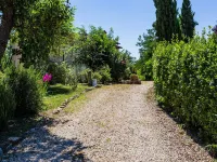 Apartment in Tuscany with Pool and Scenic Views - Apartments