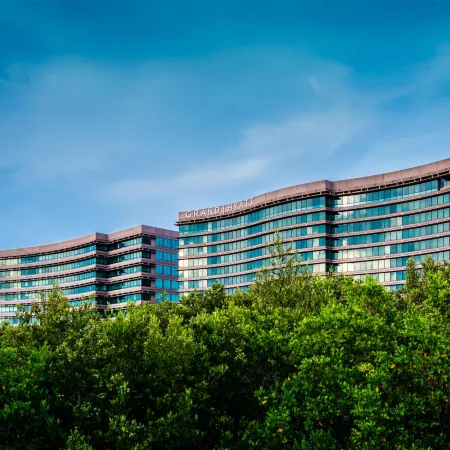 Grand Hyatt Tampa Bay