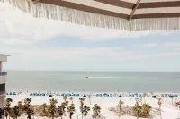 希爾頓 Curio Collection 克利爾沃特海灘休止符飯店 - 海景