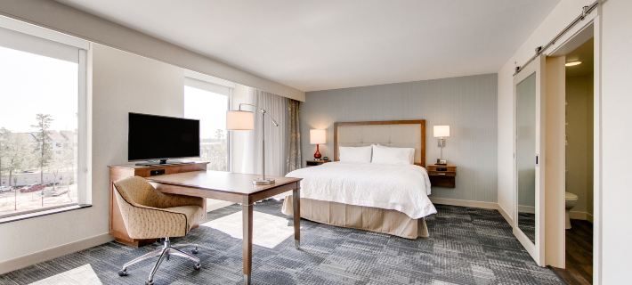 Hampton Inn & Suites North Houston Spring Hotels in Spring