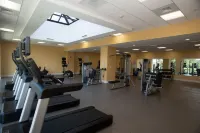 Holiday Inn & Suites JOLIET SOUTHWEST by IHG - Gym