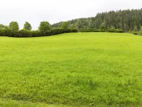 Apartment in Mittersill Near Kitzbuhel Ski Area