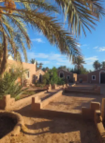 卡薩布沙漠營地