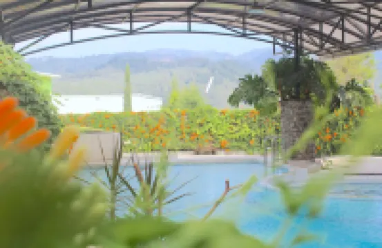 De View Hotel
