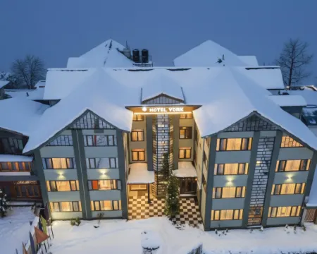 Hotel York (5 Mins Walk to Dal Lake) Hotels in Srinagar