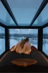 Arctic Lumo Resort Hotels in Kuusamo