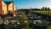 Bodega Iaccarini Wine Lodge by BT Homes - Apartments