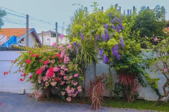 Ayana Beach Garden Отели рядом со станцией Железнодорожная станция Negombo