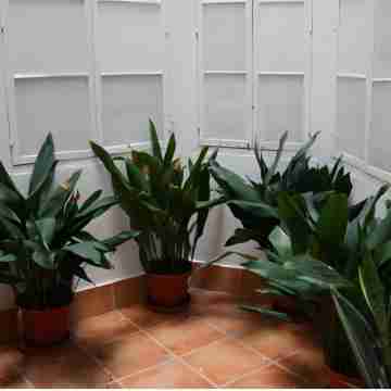 Mar y Arte Apartamentos Others