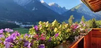 Gasthof Gröbenhof - Mountain view