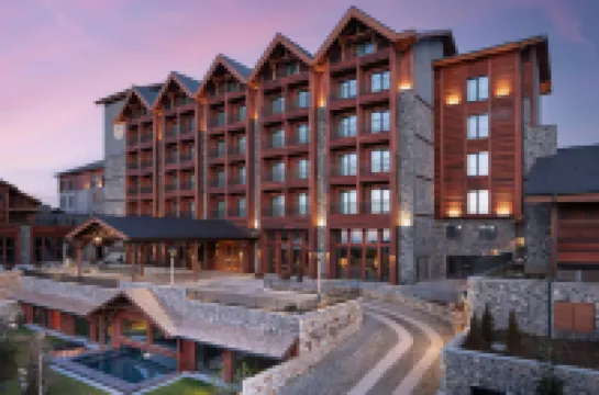 Ceylan Splend'or Uludag, Autograph Collection