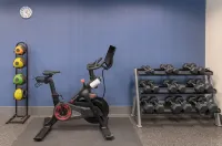 Hampton Inn Dulles/Cascades - Gym