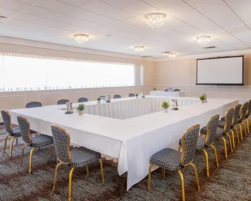 Fantasyland Hotel Business Facilities Photos