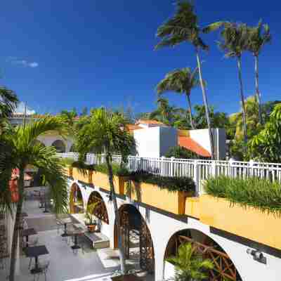 Starfish Las Palmas Others