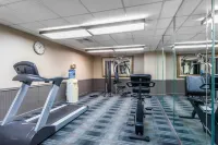 Comfort Inn Cleveland Airport - Afhentnings-/afleveringstjenester