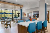 尤利斯-DFW機場西南洲際智選假日套房飯店