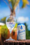 Sauipe Resorts Ala Terra - All Inclusive - bar