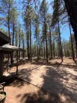 Secluded, Historic Wrigley Ranch Cabin- Pine Forest- 25 Acres Near Grand Canyon