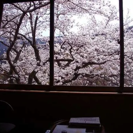 Kaiseki Ryokan Ashikari