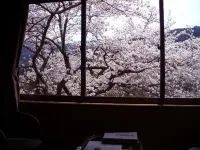 Kaiseki Ryokan Ashikari - Pemandangan Pantai