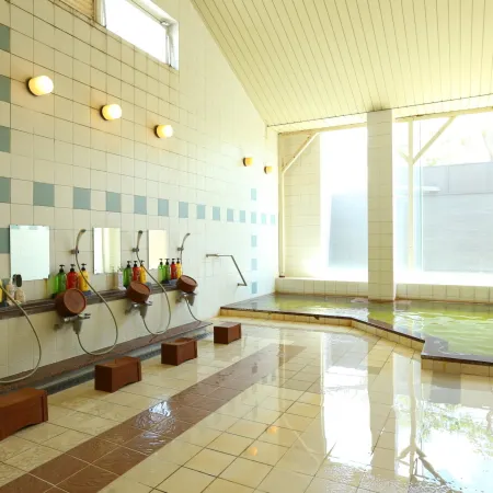 Shirako New Seaside Hotel