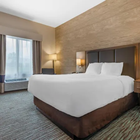 Comfort Inn & Suites Airport North