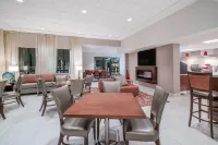Ramada by Wyndham Minneapolis Golden Valley - parking