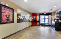 Extended Stay America Suites - Washington, DC - Landover - Wifi