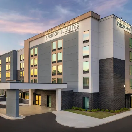 SpringHill Suites by Marriott Braselton