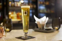 Archer Hotel Boston/Burlington - bar