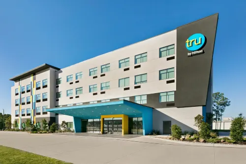 朗維尤希爾頓Tru酒店 - 泳池