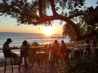Hotel Casa Miramar - สัตว์เลี้ยง