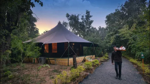 Pench Jungle Camp Hotels in Kohka