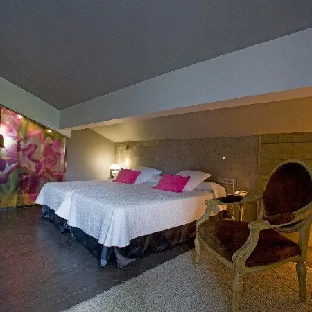 Hotel Castillo Hotels in Goierri