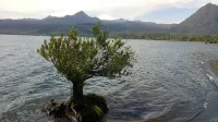 Cabaña Hualle Con Hot Tub Exclusivo Cerca de Termas y Lago