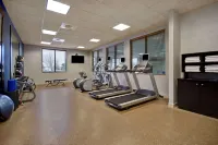 Hilton Garden Inn Twin Falls - Gym
