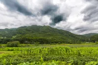 丹陽野花香氣旅館