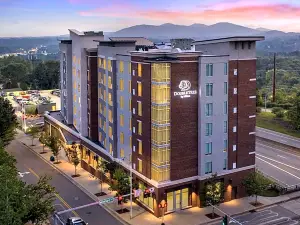 DoubleTree by Hilton Asheville Downtown