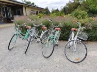 Swan House Hotels in Martinborough