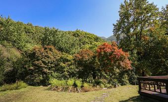 Danyang Terravill Pension