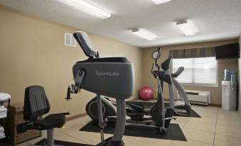 Microtel Inn & Suites by Wyndham Mineral Wells/Parkersburg