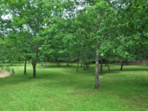 Paradise is Real at Vale Martinho Rosa ヴィミエイロのホテル