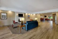 Comfort Inn Airport Hotels in Hollins
