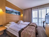 Grand Nosalowy Dwór Ξενοδοχεία στην πόλη Zakopane
