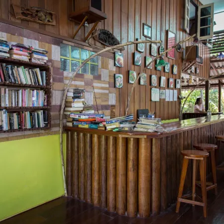 Frog Garden Hut