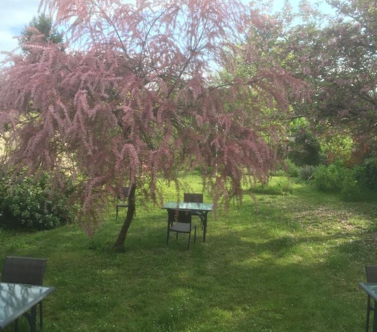 Logis Hotels Restaurants- Villa des Bordes - Housity