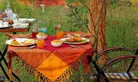 Monsoon Forest Hotels in Tala
