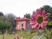 Cherry Top Farmstay - Boutique Eco Village - Pools