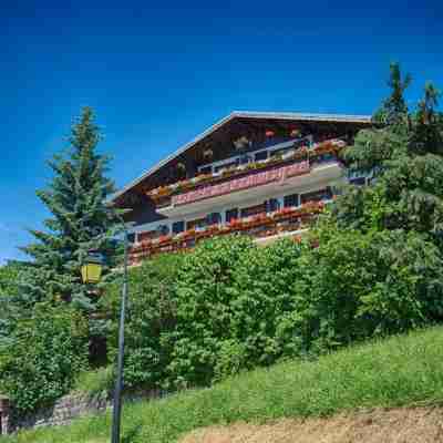 Hôtel Chalet Le Panoramique Hotel Exterior