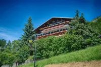 Hôtel Chalet le Panoramique
